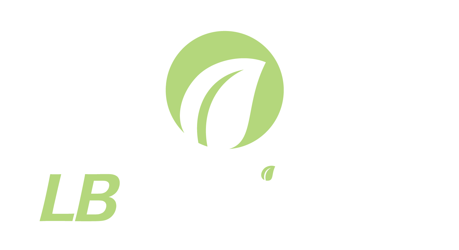 LB AMBIENTAL